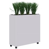 RAPID MOBILE PLANTER INCLUDING TALL PLANTS L1200 X H1200MM WHITE