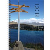 COLLINS DIARY A5TS 210 X 148MM WEEK TO VIEW EVEN YEAR