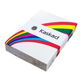 KASKAD COLOURED PAPER A4 160GSM WHITE LINEN PACK 250