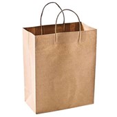 PAPER BAG NO16 CARRY TWIST HANDLE L355 X W240 X D120MM CTN 200