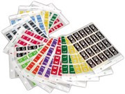 FILECORP COLOURFIND ALPHA LABEL I 03FCHCFALAP 40 LABELS